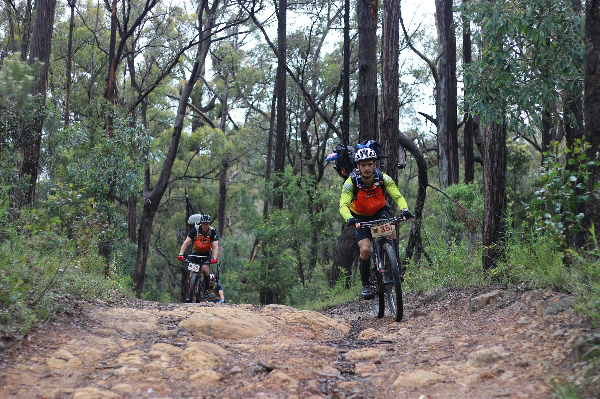 Gold coast tigers mtb