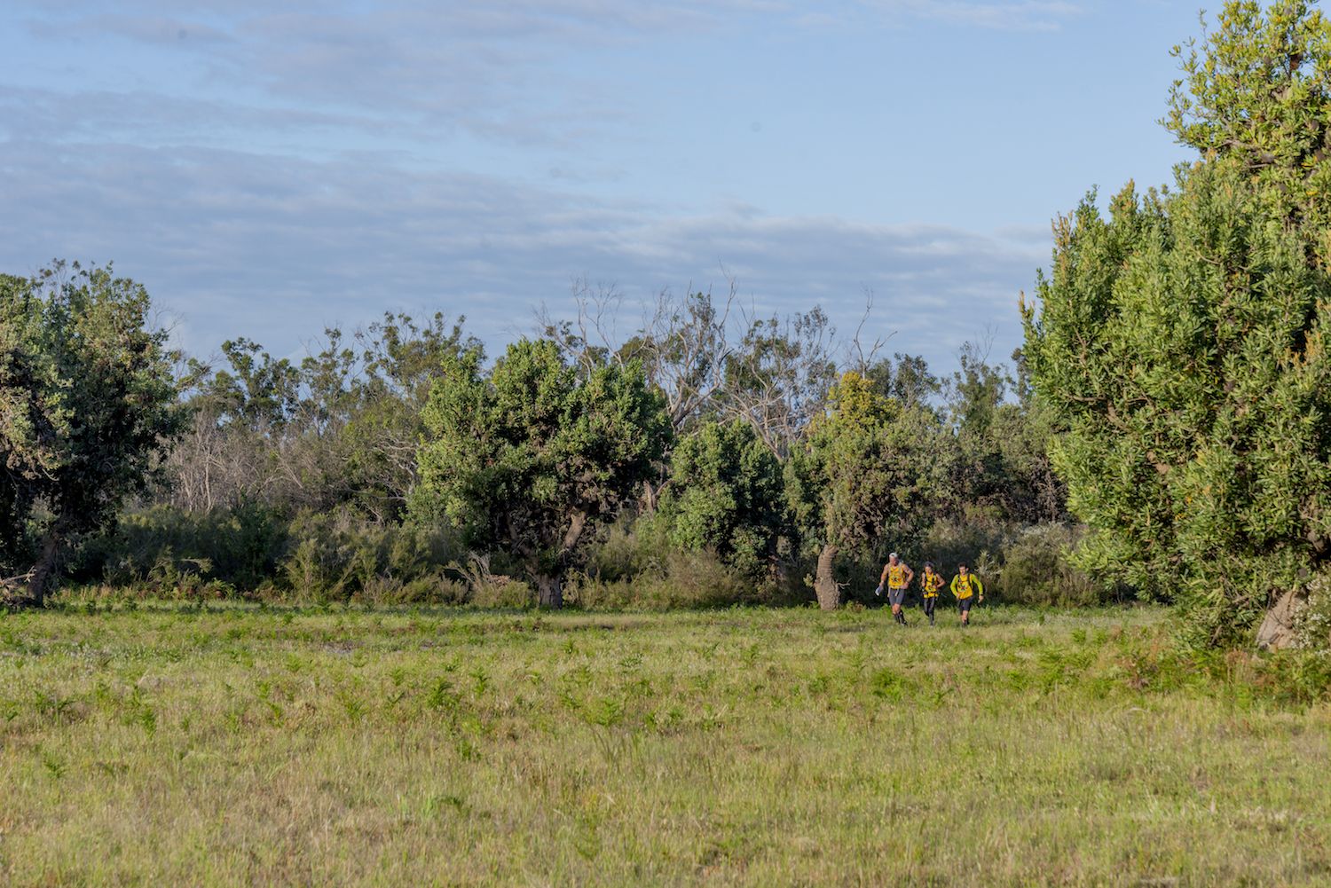 Gold coast tigers trekking